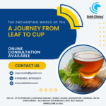 The Enchanting World of Tea: A Journey from Leaf to Cup