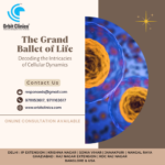 “The Grand Ballet of Life: Decoding the Intricacies of Cellular Dynamics”